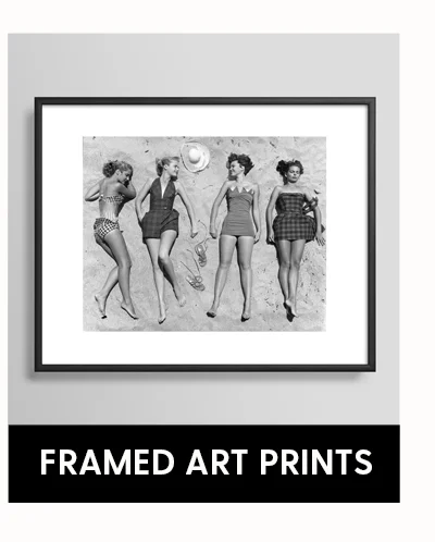 Shop Framed Art Prints