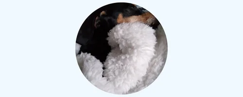 Cozy Calming™ Blanket