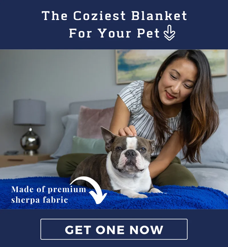 Cozy Calming Blanket