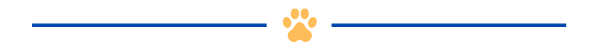 Alpha Paw