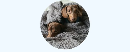 Cozy Calming™ Blanket