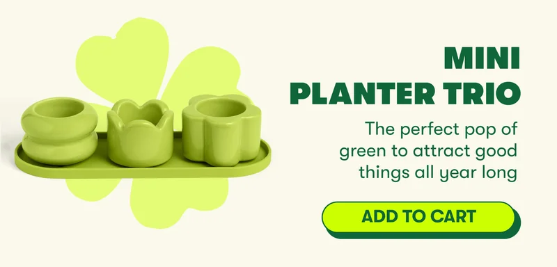 Mini Planter Trio The perfect pop of green to attract good things all year long [ADD TO CART]