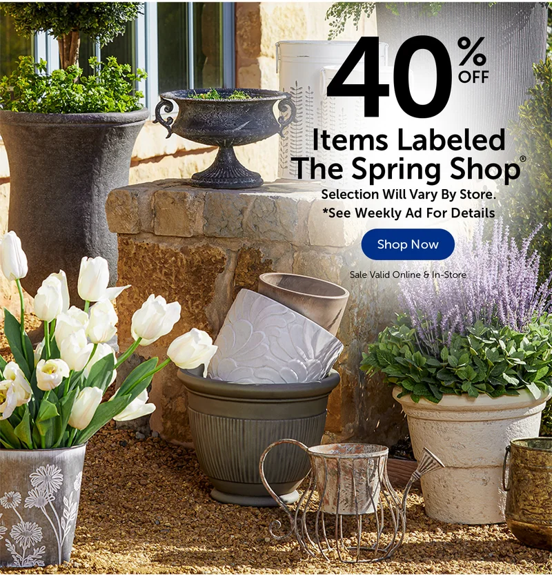 Spring Shop