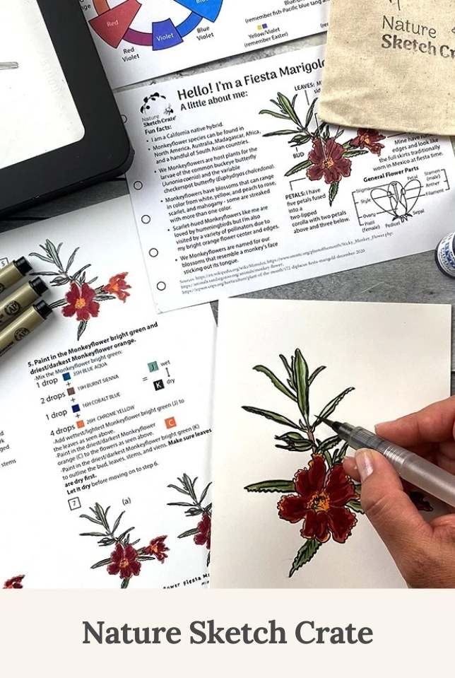 Nature Sketch Crate