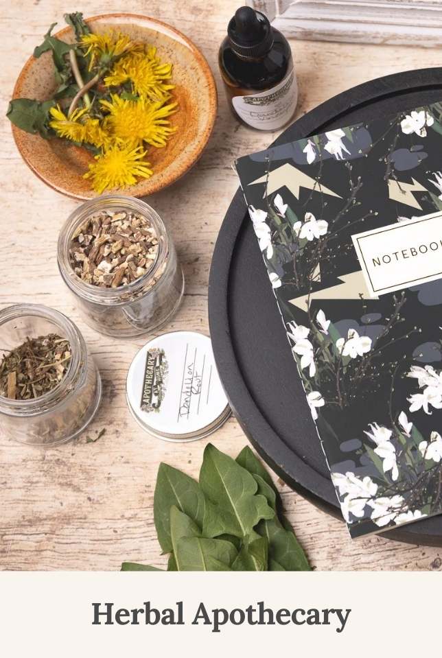 Herbal Apothecary at Home