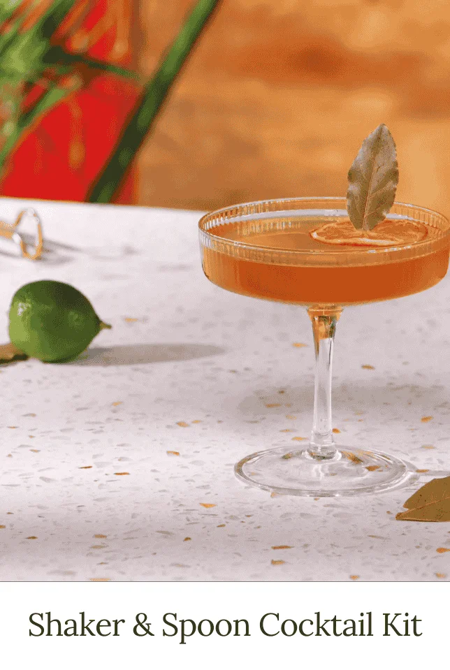 Shaker and Spoon Cocktail Kit
