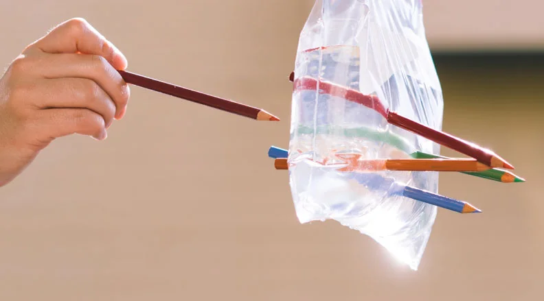 Wow friends with this surprising “leak-proof” bag trick!