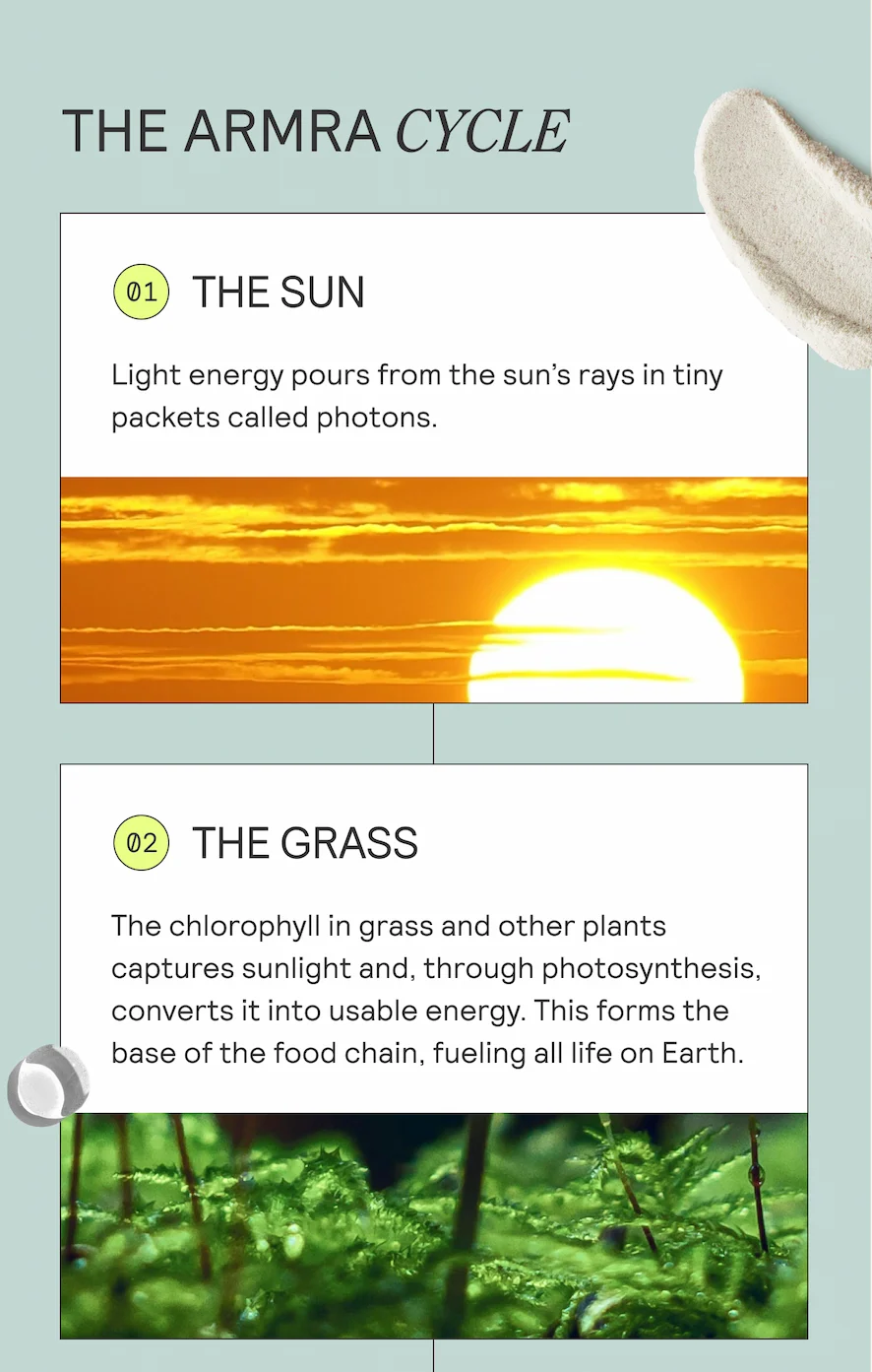 THE ARMRA CYCLE