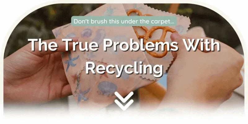 Eco-Collective Company