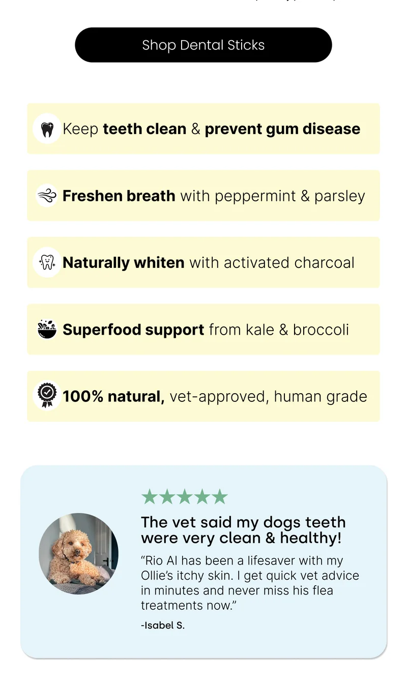 Shop Dental Sticks