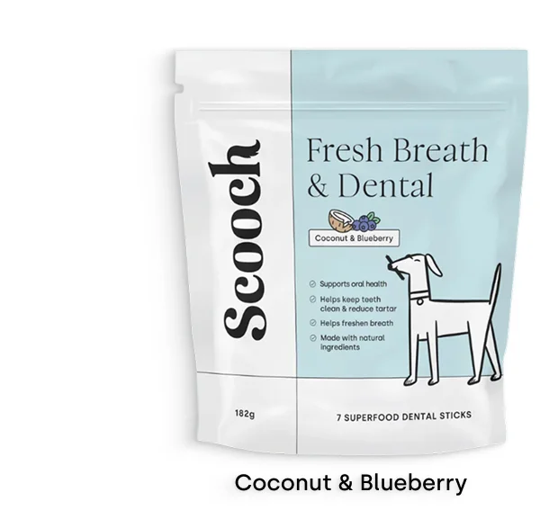 Dental Sticks Coconut