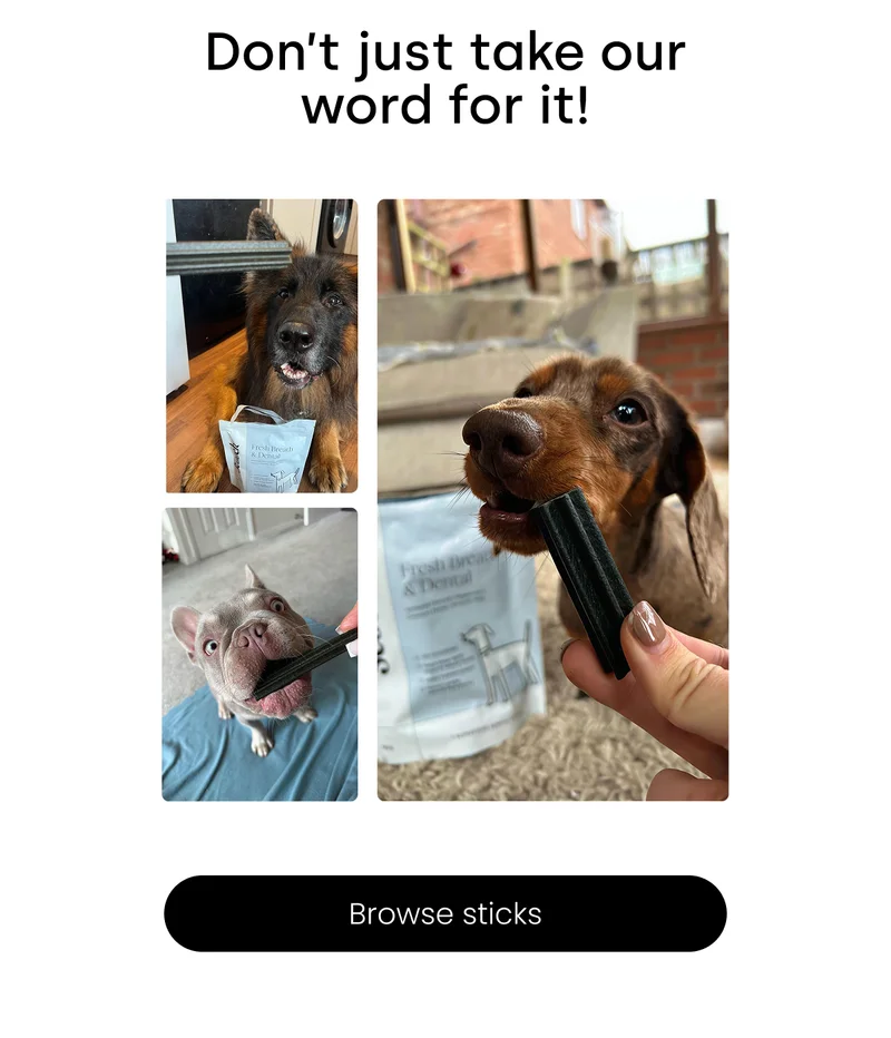 Browse Sticks