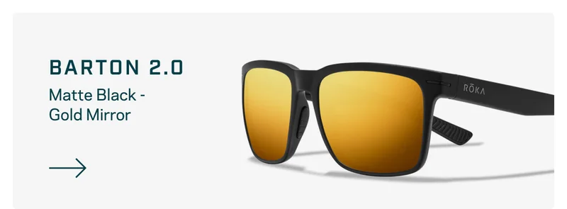 Barton 2.0 - Matte Black - Gold Mirror