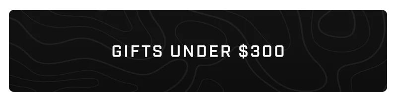 Gifts Under $300