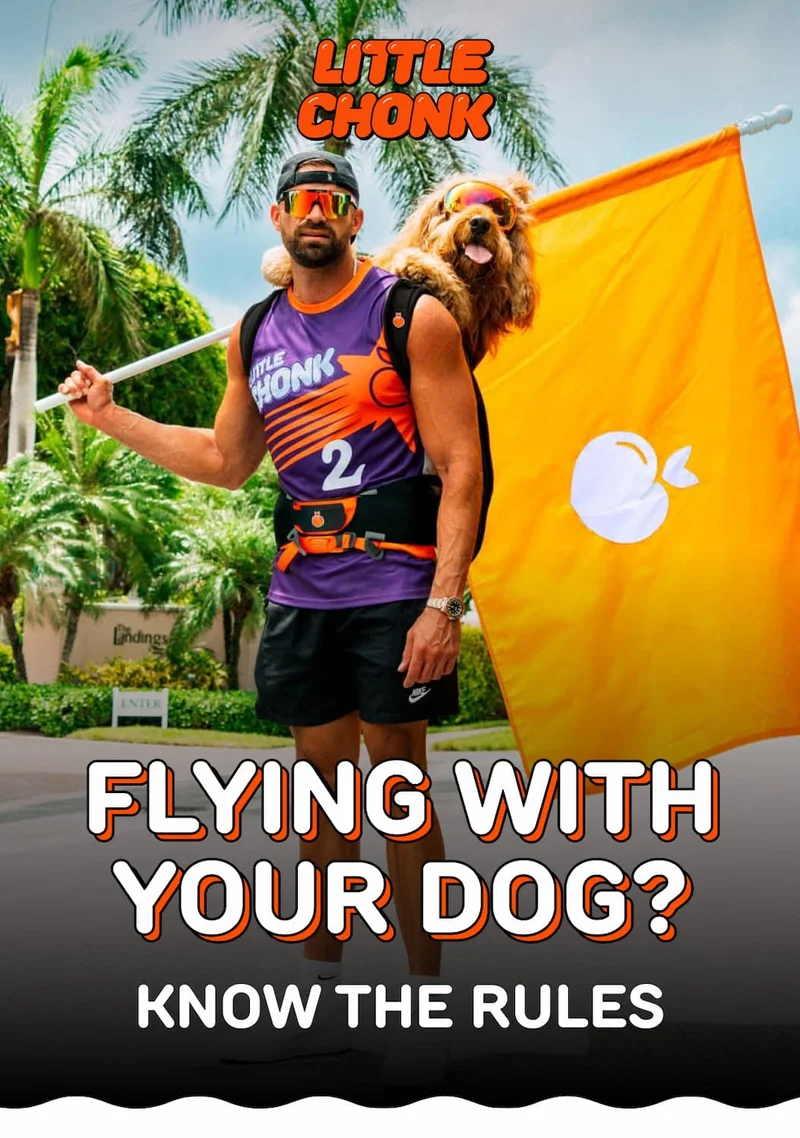 FLYING WITH YOUR DOG? FLYING WITH YOUR DOG? KNOW THE RULES