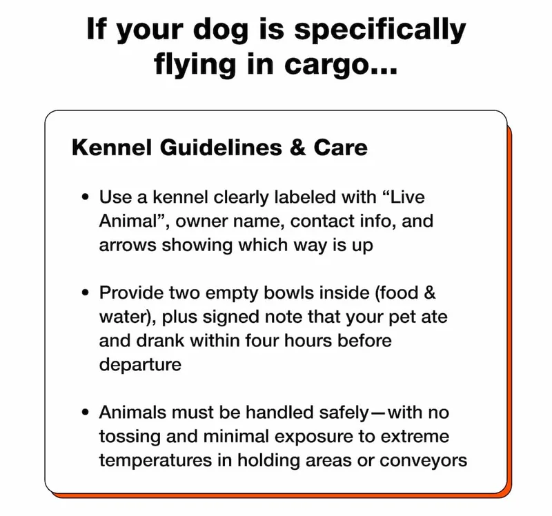 Kennel Guidelines & Care