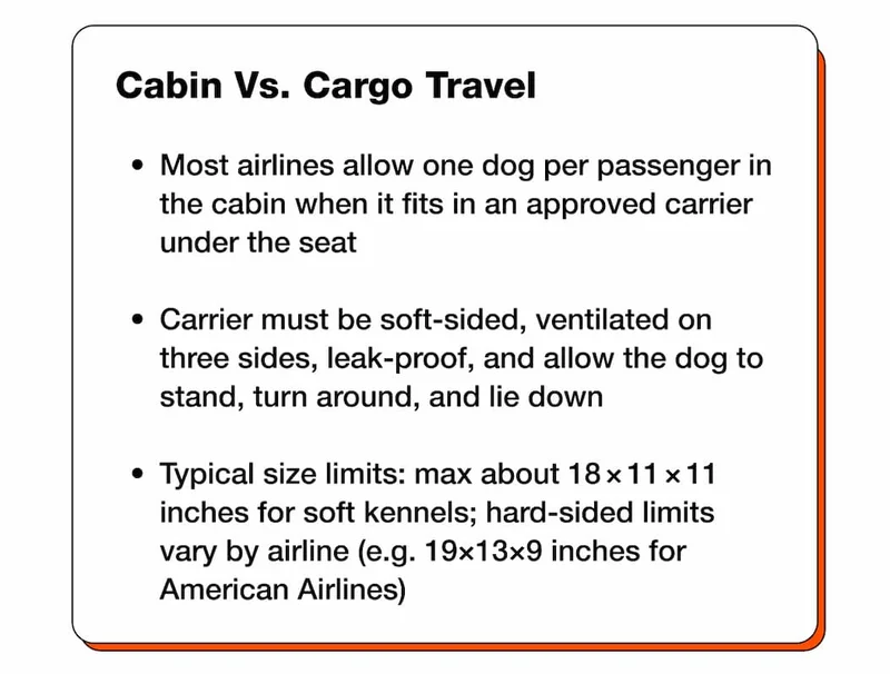 Cabin Vs. Cargo Travel