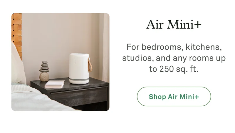 Air Mini+