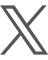 X icon