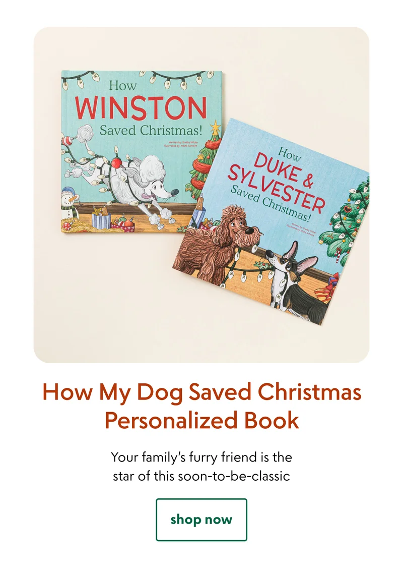 How My Dog Saved Christmas Personalized Book