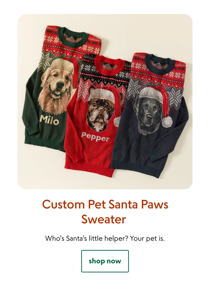 Custom Pet Santa Paws Sweater