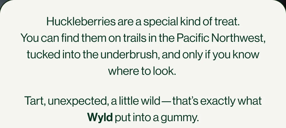 HUCKLEBERRIES ARE A SPECIAL KIND OF TREAT