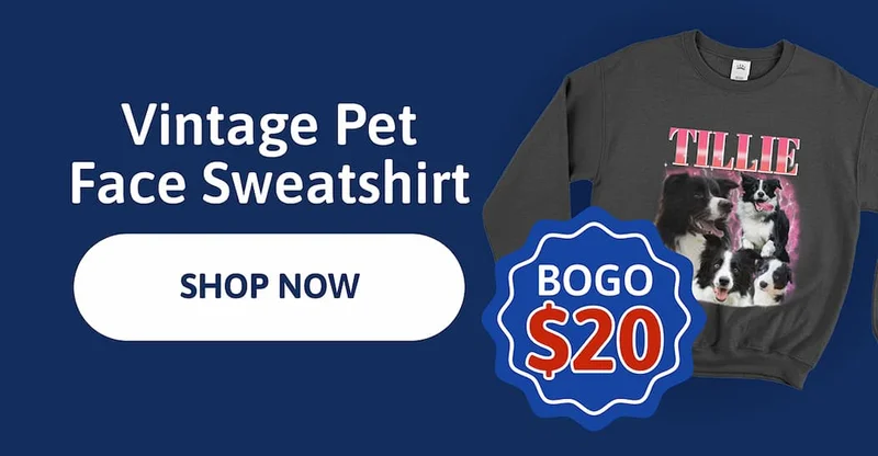 Vintage Pet Face sweatshirt - BOGO $20