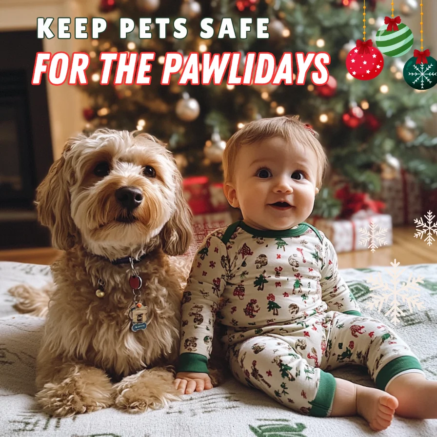 For Your pets