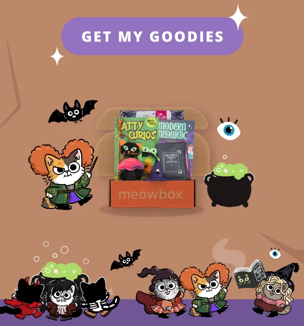 Get my goodies! Image of the Witching Meowur meowbox (featuring toys like teh Catty Curios Multi-pack Wand, Modern Meowgic Spell Book, Whiskered Witch Wearable Hat cat toys and more)