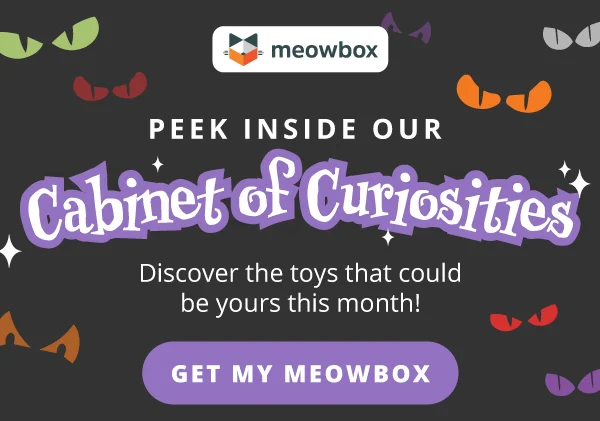 **Peek inside our cabinet of curiosities**  Discover the toys that could be yours this month! Get my meowbox