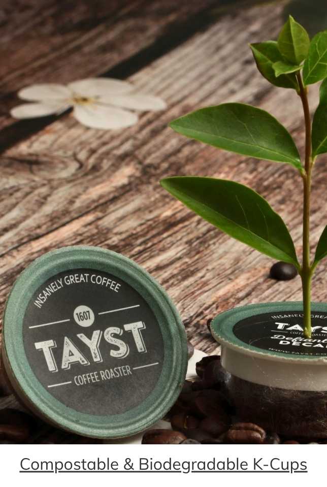 Tayste Compostable & Biodegradable Coffee Cups