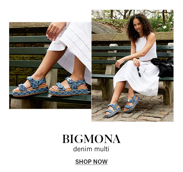 BIGMONA