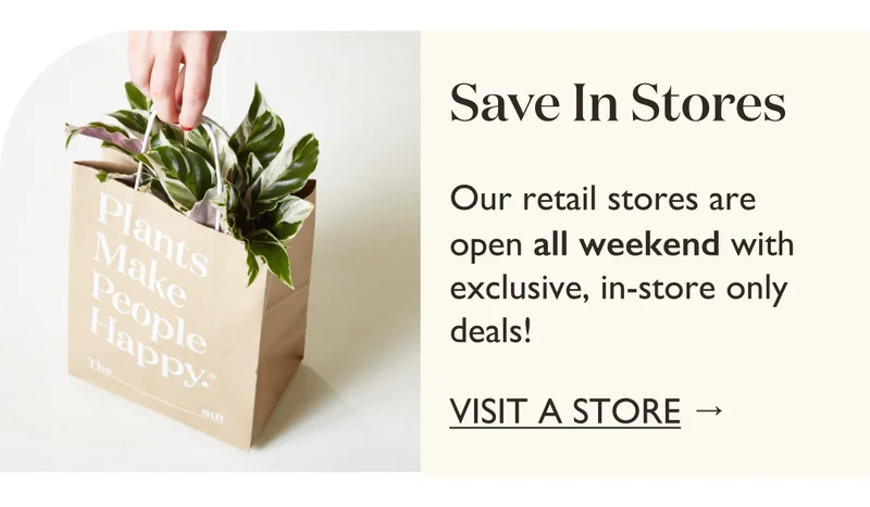 Our retail stores are open all weekend with exclusive, in-store only deals!