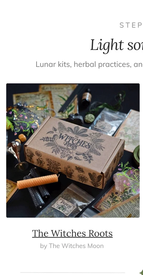The Witches Roots™ by The Witches Moon®
