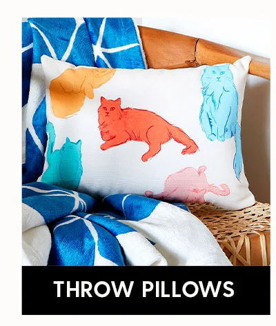 Shop Throw Pillows