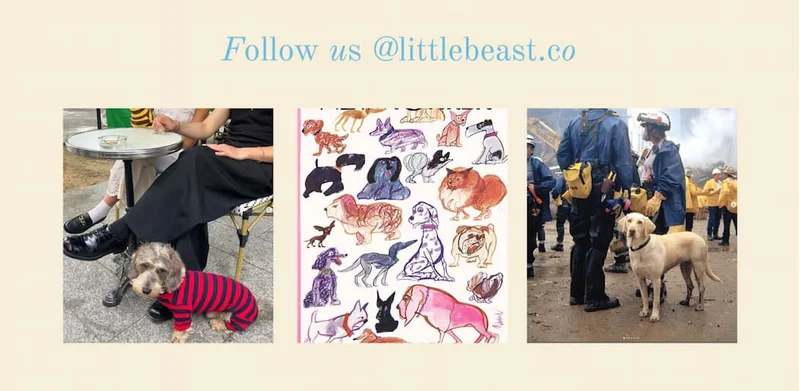 Follow us on Instagram