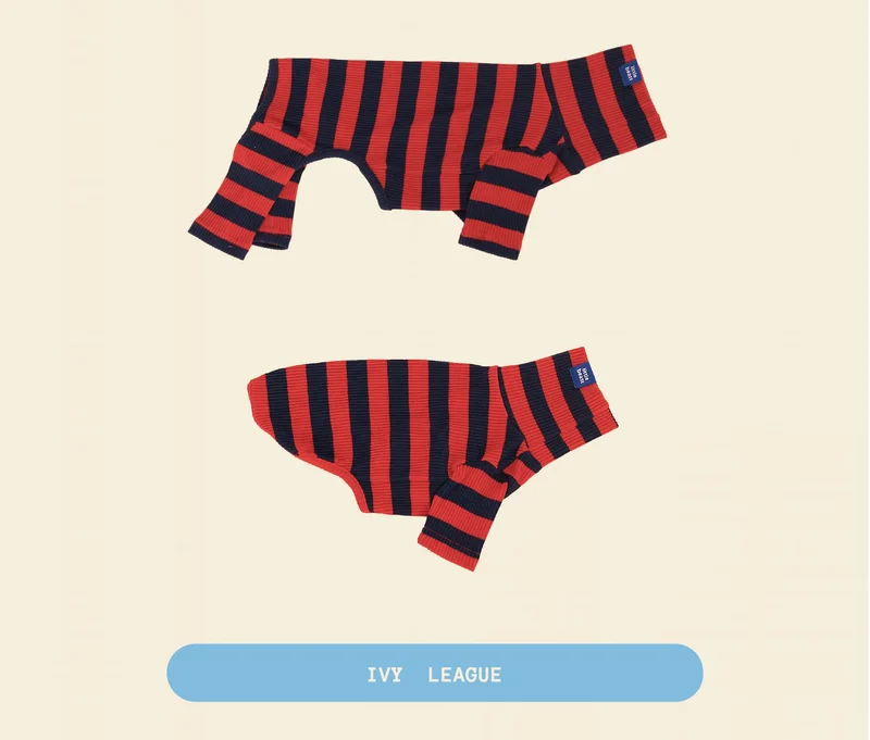Ivy League