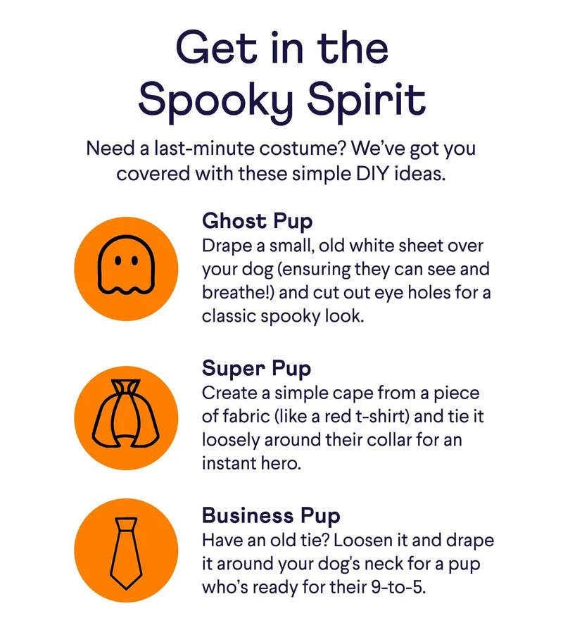 Text: Get in the Spooky Spirit Need a last-minute costume? We’ve got you covered with these simple DIY ideas. Ghost Pup Drape a small, old white sheet over your dog (ensuring they can see and breathe!) and cut out eye holes for a classic spooky look.  Super Pup Create a simple cape from a piece of fabric (like a red t-shirt) and tie it loosely around their collar for an instant hero.  Business Pup Have an old tie? Loosen it and drape it around your dog's neck for a pup who’s ready for their 9-to-5. Need more inspiration? See the cutest looks from the Tompkins Square Halloween Dog Parade!