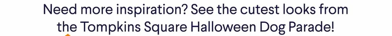 Text: Need more inspiration? See the cutest looks from the Tompkins Square Halloween Dog Parade!