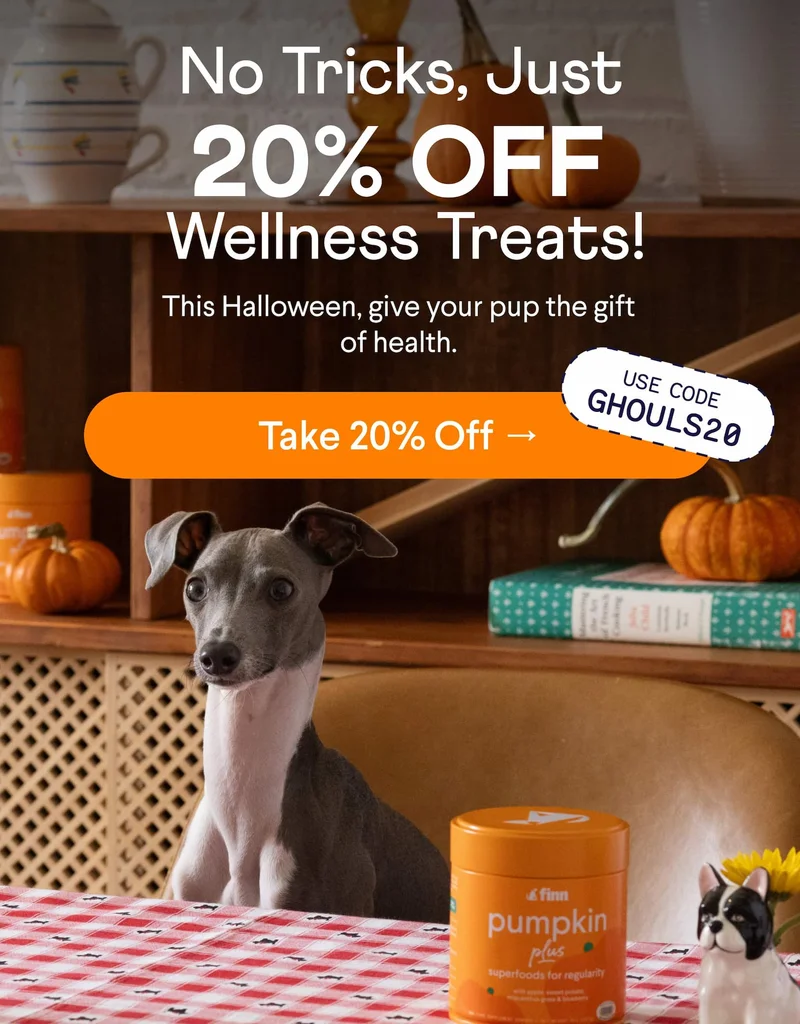 Text: No tricks, just 20% OFF wellness treats! This Halloween, give your pup the gift of health. CTA: Take 20% Off –> Use Code GHOULS20 Photo: Italian Greyhound sitting at table with Pumpkin Plus tin in front