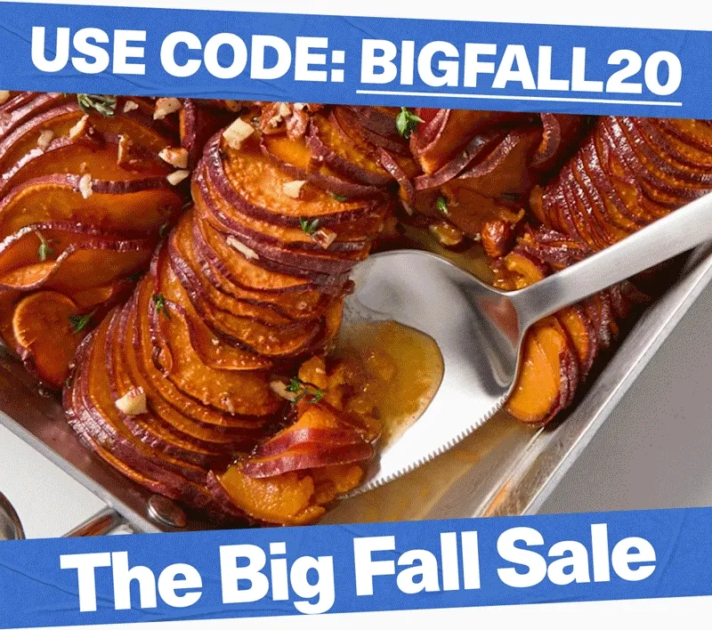 USE CODE: discount code for 20% Off in The Big Fall Sale