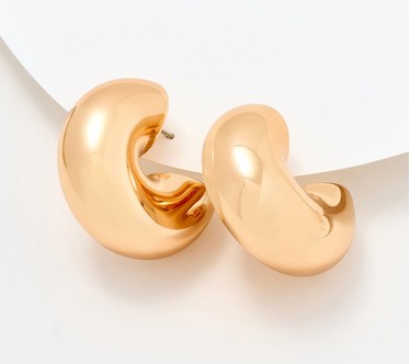 Joan Rivers Polished Sophisticate Hoop Earring