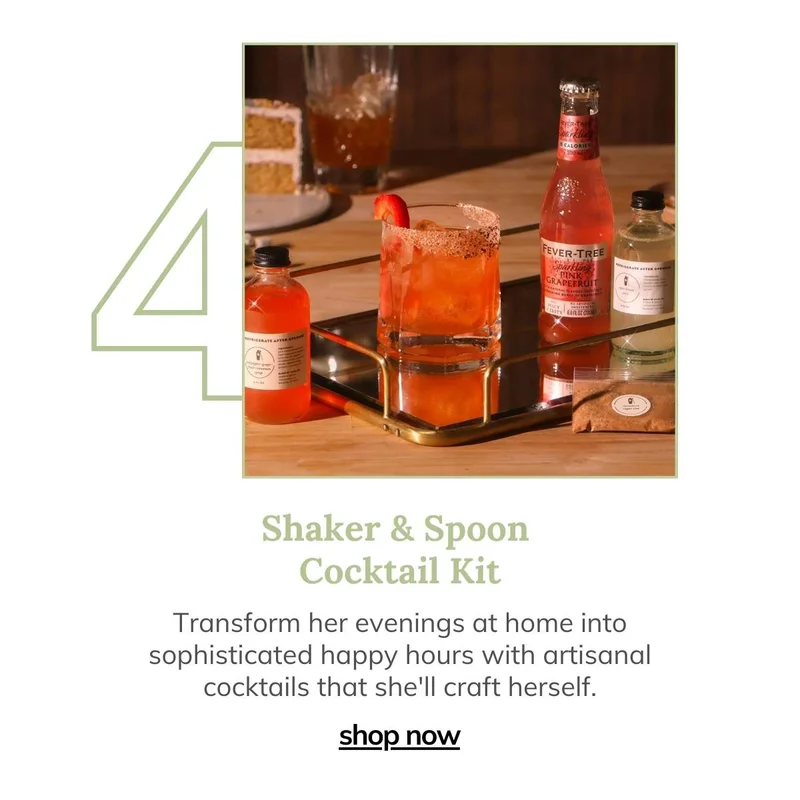 Shaker and Spoon Cocktail Kit