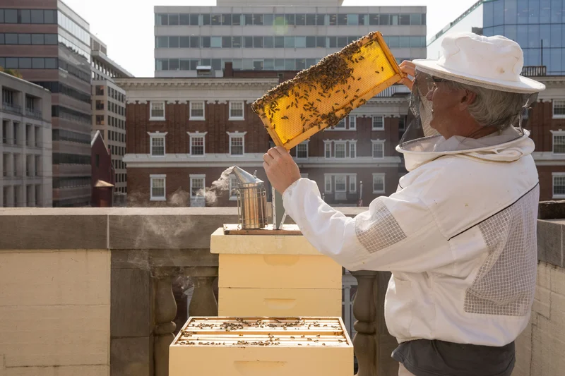 National Geographic photographer Mark Thiessen takes care of some of the smaller residents of  Nat Geo's headquarters.