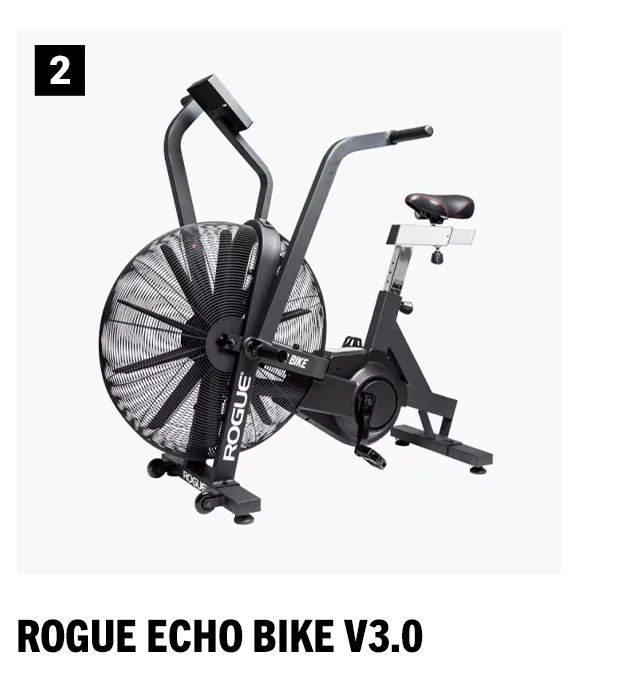 Rogue Echo Bike V3.0