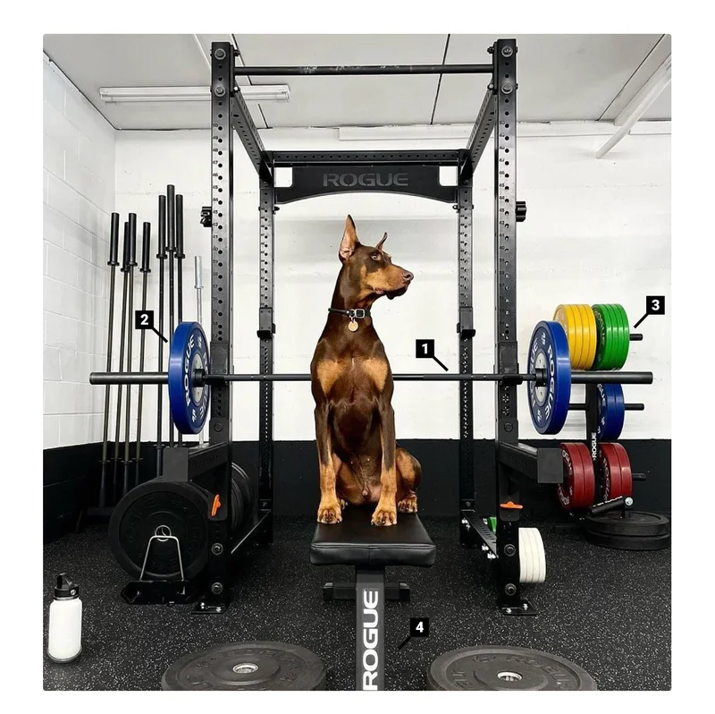 Garage Gym