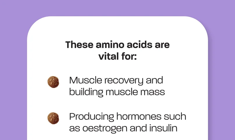 These amino acids are vital for: