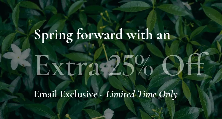 Spring forward with an | Extra 25% Off | Email Exclusive-Limited Time Only | **Exclusions Apply.
