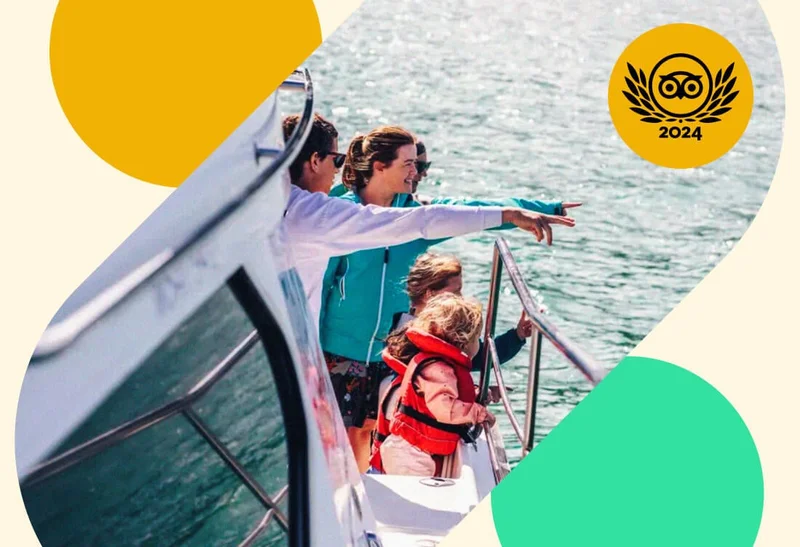 Image Description: A family with young kids pointing at wildlife on a dolphin-watching cruise in New Zealand, overlaid with a gold 2024 Travelers’ Choice Awards Best of the Best badge