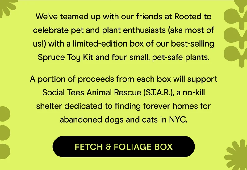 Fetch & Foliage Box